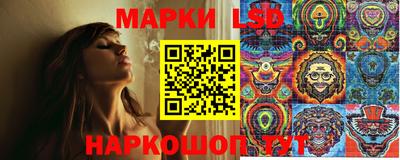 гидра Кандалакша