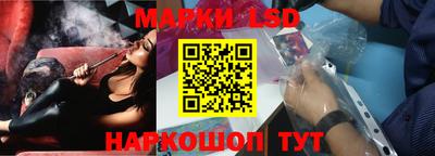 стафф Камышлов