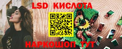 стафф Камышлов