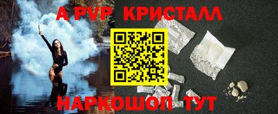 стафф Камышлов