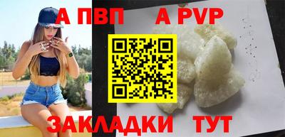 гидра Кандалакша
