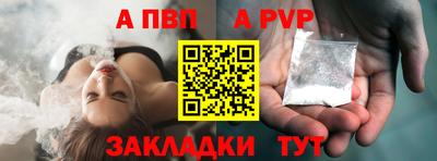 стафф Камышлов