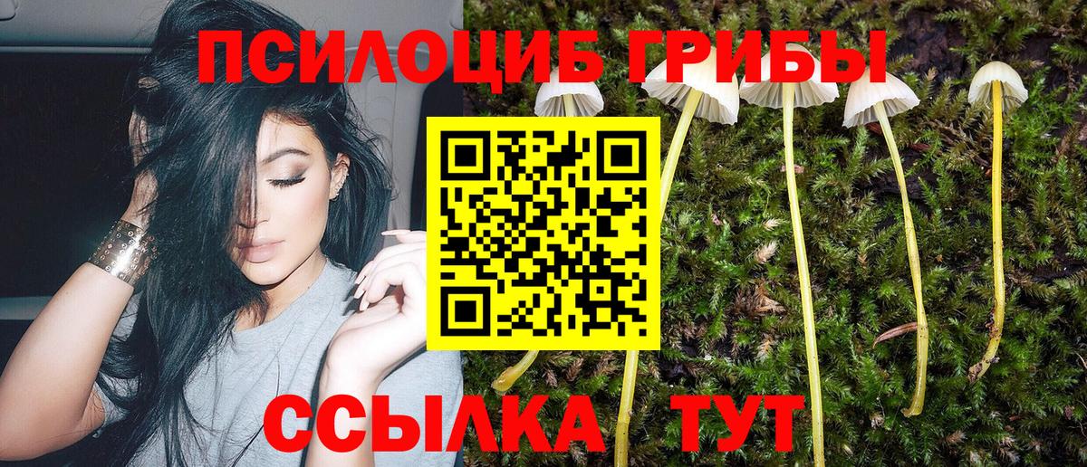 А ПВП Ленинск-Кузнецкий