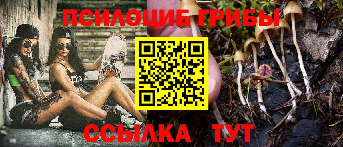 Ленинск-Кузнецкий  Псилоцибиновые грибы Psilocybine cubensis  Псилоцибиновые грибы Psilocybine cubensis  Вход с VPN 